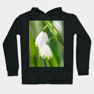 Snowdrops Hoodie